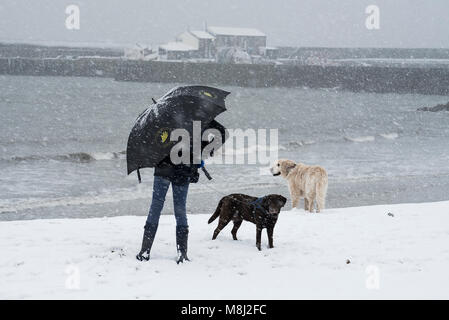 Schnee in Lyme Regis, 18. März 2018. UK Wetter: Eine junge Frau kämpft mit ihrem Schirm, wie Sie geht ihre Hunde am Strand in der Grafschaft Dorset an der Küste von Lyme Regis, wie das Tier aus dem Osten 2 Hdo. Kredit Celia McMahon/Alamy leben Nachrichten. Stockfoto