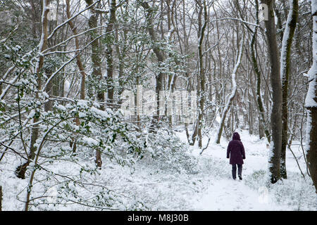 UK Wetter: Schnee am Ofen, Ceredigion, Wales, Großbritannien Aus dem Osten 2 Tier, bringt Schnee auf die ländliche Landschaft Weiler des Ofens. Mit der malerischen (Afon), Fluss Einion, mit Wales Coast Path auf ihre Ufer Credit: Paul Quayle/Alamy leben Nachrichten Stockfoto