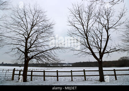 Horton Country Park, Epsom, Surrey, England. 18. März 2018. Eine übernachtung Schneedecke bei Horton Country Park, Epsom, auf einem anderen kalten Tag mit einem kalten Wind und die Temperatur fühlen wie minus sechs Grad. Credit: Julia Gavin/Alamy leben Nachrichten Stockfoto