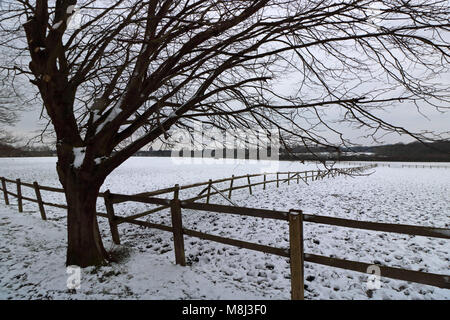 Horton Country Park, Epsom, Surrey, England. 18. März 2018. Eine übernachtung Schneedecke bei Horton Country Park, Epsom, auf einem anderen kalten Tag mit einem kalten Wind und die Temperatur fühlen wie minus sechs Grad. Credit: Julia Gavin/Alamy leben Nachrichten Stockfoto