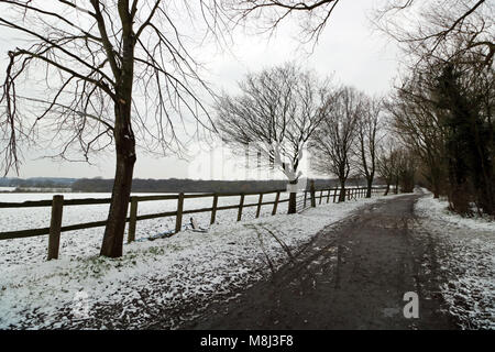 Horton Country Park, Epsom, Surrey, England. 18. März 2018. Eine übernachtung Schneedecke bei Horton Country Park, Epsom, auf einem anderen kalten Tag mit einem kalten Wind und die Temperatur fühlen wie minus sechs Grad. Credit: Julia Gavin/Alamy leben Nachrichten Stockfoto