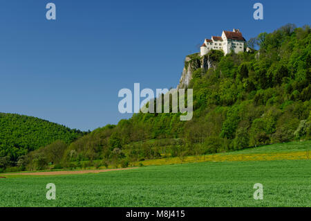 Schloss Werenwag bei Beuron im oberen Donautal (Oberes Donautal), Landkreis Sigmaringen, Baden-Württemberg, Deutschland Stockfoto