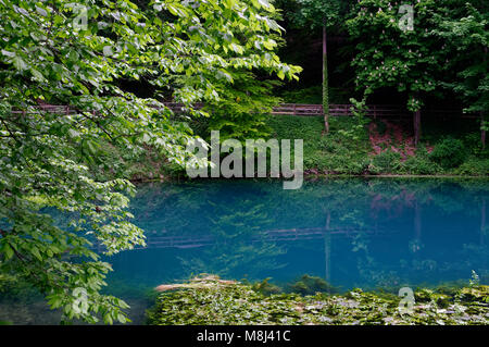 Blautopf (Karstquelle am Südrand der Schwäbischen Alpen) in Blaubeuren, Alb-Donau-Kreis, Baden-Württemberg, Deutschland Stockfoto