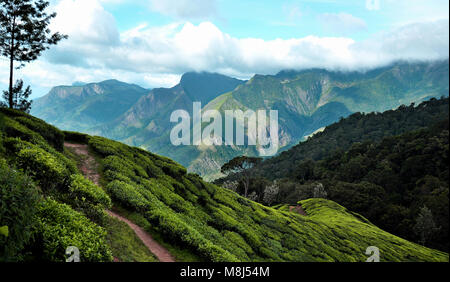 Dieses Foto ist vom Munnar, Munnar ist ein sehr baeutiful höchste Stelle in Kerala, Indien. Stockfoto