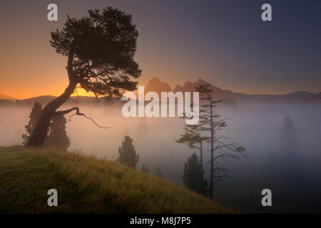 Misty Landschaft in Seiser Alm oder Seiser Alm in der Morgendämmerung. Lange Belichtung Foto auf idyllische Landschaft - Dolomiten, Italien. Stockfoto