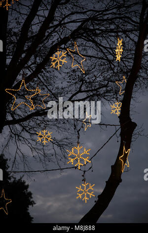 Weihnachtsbeleuchtung in den Bäumen Stockfoto