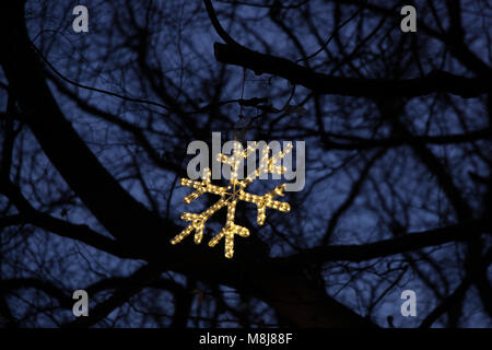 Weihnachtsbeleuchtung in den Bäumen Stockfoto