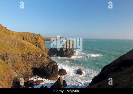 Die robuste South Cornwall Küste in der Nähe von Kynance Cove auf die Eidechse, England, zeigt spektakuläre Klippen Stockfoto