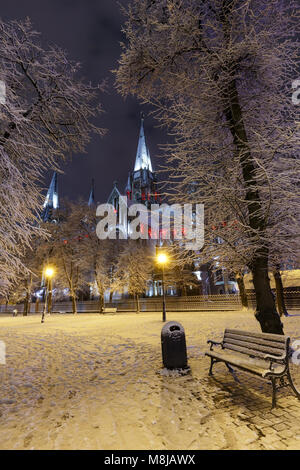 Schöne nachts beleuchtete winter Kirche St. Olha und Elizabeth in Lemberg, Ukraine. In den Jahren 1903-1911 gebaut. Stockfoto