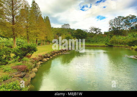 Schönen See Landschaft mit bunten kahlen Zypressen im Herbst Stockfoto