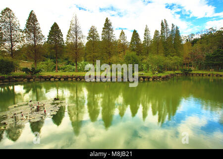 Schönen See Landschaft mit bunten kahlen Zypressen und Reflexionen im Herbst Stockfoto