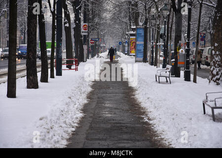 Wien, Österreich. Februar 1, 2017. Blick auf ein Fußweg nach einem riesigen schneefall und einen sehr kalten Winter Tag Stockfoto