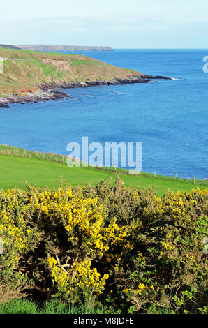 Die Küste von Südwesten Irland in der Nähe von trabolgan, Kork, Munster, Irland, Stockfoto