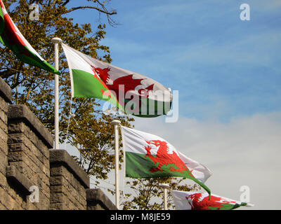 Wales Flaggen Fliegen an der Wand von Cardiff Castle im Stadtzentrum Stockfoto