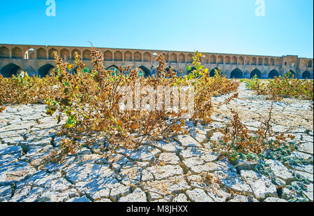 Die Stachelige Pflanzen wächst auf Risse im Schlamm des unten vertrocknet Zayanderud Fluss, Isfahan, Iran. Stockfoto