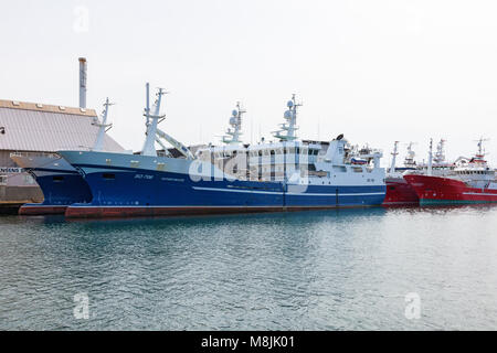 Fisch-Trawler im Hafen Stockfoto