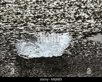 Eisschollen auf Schwarz felsigen Strand brechen. Risse im Eis auf schwarzem Sand Strand mit Allmählichen abschmelzen, winter Stockfoto