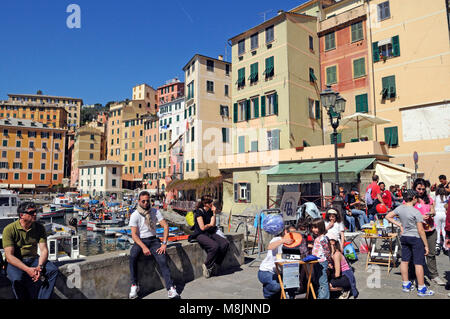 Camogli typisches Dorf mit bunten Häusern und kleinen Hafen in Italien, Ligurien an einem sonnigen Tag Stockfoto