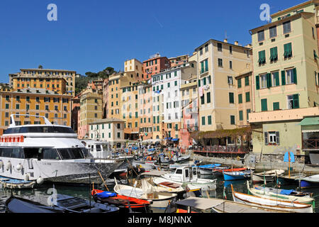 Camogli typisches Dorf mit bunten Häusern und kleinen Hafen in Italien, Ligurien an einem sonnigen Tag Stockfoto