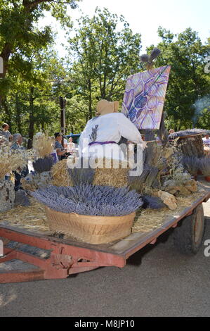 Zoom auf das Lavendelfestival vom 15. august in Sault, Frankreich Stockfoto