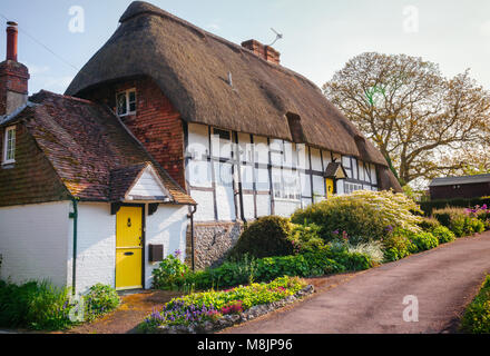 Eine typische traditionelle englische Landhaus Reetdachhaus mit Pflanzen und blühenden Blumen in ländlichen südlichen England Großbritannien eingerichtet Stockfoto