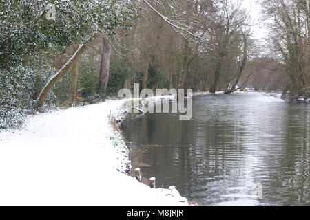 Malerische Aussicht auf schneebedeckte Bäume und See Stockfoto