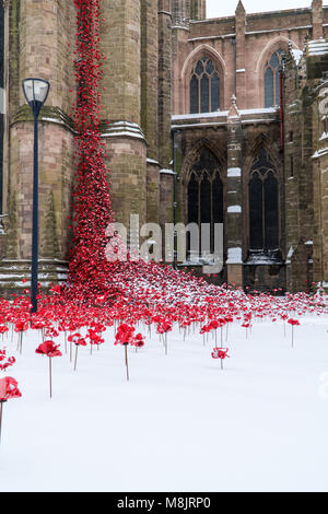 Schnee bedeckt Mohn. Weinende Fenster in der Kathedrale von Hereford, Großbritannien März 2018 Stockfoto