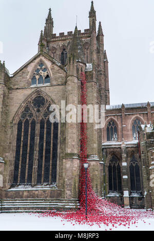 Schnee bedeckt Mohn. Weinende Fenster in der Kathedrale von Hereford, Großbritannien März 2018 Stockfoto