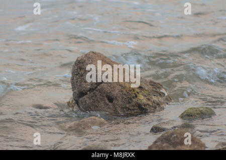 Aiguas Blanques Agua Blanca Ibiza Strand mit türkisblauen Wasser auf dem Sand von einem Meer Strand, soft Wave und solar Blendung. Stockfoto