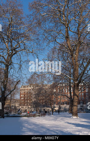 Tavistock Square im Schnee, Bloomsbury, Camden, London, UK Stockfoto