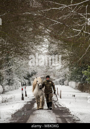 Ein Mitarbeiter von whatton Manor Stud führt ein Pferd im Schnee in der Nähe von Belvoir wie die winterliche Snap betitelte die "mini Tier aus dem Osten" seinen Griff auf das VEREINIGTE KÖNIGREICH hält. Stockfoto