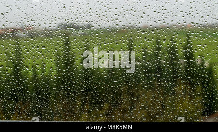 Regentropfen auf das Fenster Stockfoto