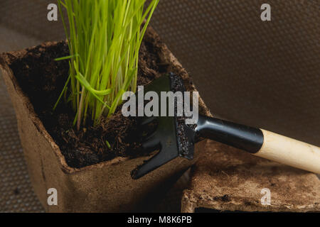 Vorbereitung für saisonale Transplantation von Pflanze, Ingardening. Produkt Still Life Bild. Pflanzung im Garten Konzept. Stockfoto