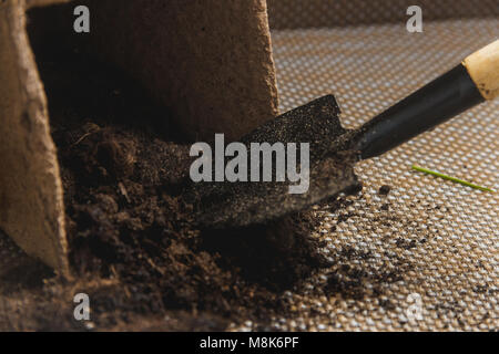 Vorbereitung für saisonale Transplantation von Pflanze, Ingardening. Produkt Still Life Bild. Pflanzung im Garten Konzept. Stockfoto