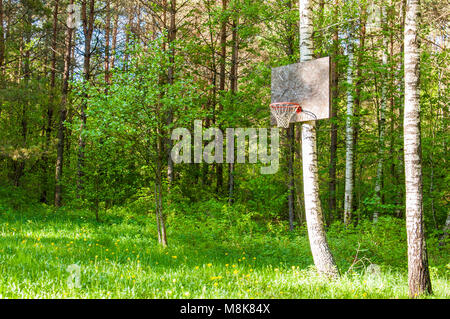 Der Spielplatz Wiese mit Gras bewachsen. Erstaunlich, angepasst auf das Spiel, das jeder auf dem Planeten, und spielen Sie es überall dort, wo Sie sind Stockfoto