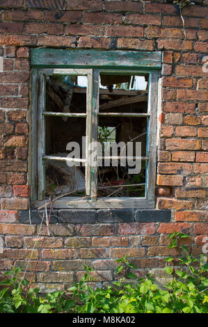 Eine alte verfallene, verrottete grünes Fenster Rahmen gegen einen roten Backsteinmauer, mit Pflanzen bewachsen und Brambles. Stockfoto