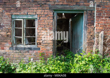 Eine alte verfallene, verrottete grünes Fenster und Türrahmen gegen eine Red brick wall, mit Pflanzen bewachsen und Brambles. Stockfoto