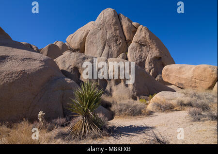 Felsformationen in Live Oak Picknickplatz, Joshua Tree National Park, Kalifornien, USA Stockfoto