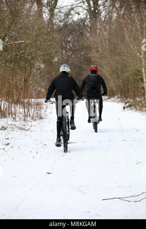 Zwei Radfahrer geniessen ein Off-road-Fahrt durch den Wald an einem verschneiten Tag Stockfoto