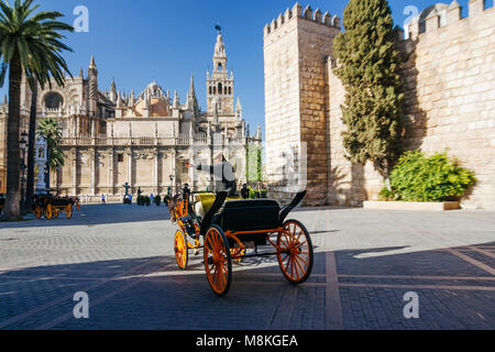 Sevilla, Andalusien, Spanien: ein Buggy Rides unter Unesco Weltkulturerbe Kathedrale, Alcazar und Archivo de Indias. Stockfoto