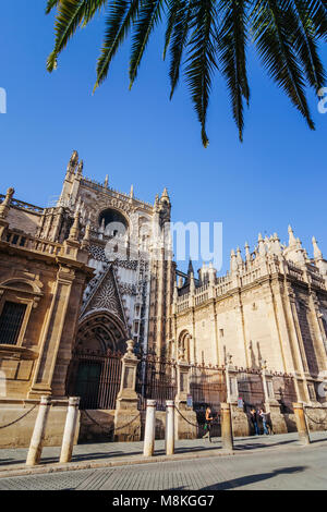 Sevilla, Andalusien, Spanien:Puerta del Príncipe (Tür des Fürsten) der Unesco Weltkulturerbe Kathedrale von Sevilla, die größte gotische Struktur in der w Stockfoto