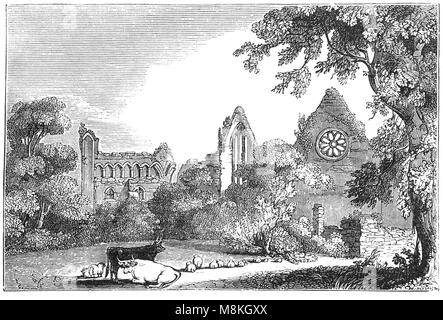 Rinder und Schafe vor der Dryburgh Abbey am Ufer des Flusses Tweed in den schottischen Borders. Es war nominell in 1152 durch die Prämonstratenser Chorherren gegründet, wurde aber im Jahr 1544 Überlebenden bis zur schottischen Reformation zerstört. Sir Walter Scott und Feldmarschall Douglas Haig sind in ihrer Begründung begraben. Stockfoto