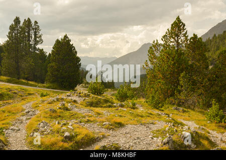 Wunderschöne Natur in Schweizer Natinal Park in der Nähe Ofenpass in der Schweiz Stockfoto