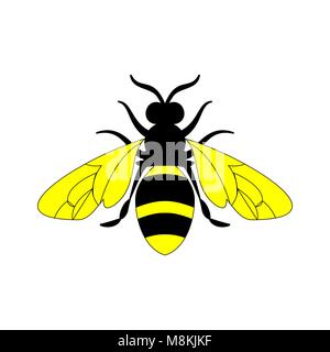Golden honey bee Gebärmutter von Sommertag auf weißem Hintergrund. Stock Vektor