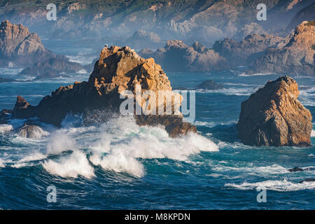 Surf, Garrapata State Park, CA USA. April, von Dominique Braud/Dembinsky Foto Assoc Stockfoto