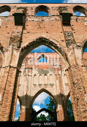 Ruinen der Kathedrale von Tartu Stockfoto