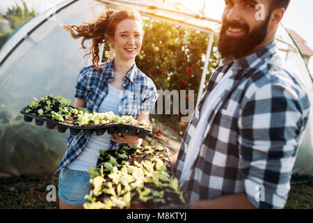 Bild von Paar Landwirte Sämling Sprößlinge in den Garten Stockfoto