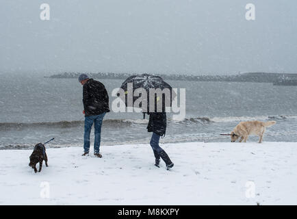 Schnee in Lyme Regis, 18. März 2018. UK Wetter: Ein paar ihre Hunde Wachen an der Küste von Lyme Regis Kampf mit ihrem Regenschirm blizzard Bedingungen wie das Tier aus dem Osten 2 Stiche. Credit: Celia McMahon/Alamy leben Nachrichten Stockfoto