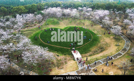 Nanchang, China's Jiangxi Province. 17 Mär, 2018. Menschen sehen Blumen an Fenghuang Tal in Nanchang, der ostchinesischen Provinz Jiangxi, 17. März 2018. Quelle: Bao Gansheng/Xinhua/Alamy leben Nachrichten Stockfoto