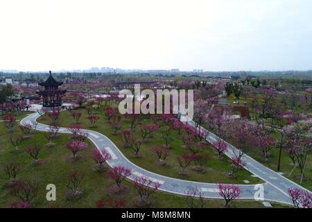 Hangzhou, Hangzhou, China. 17 Mär, 2018. Hangzhou, China, 17. März 2018: Luftaufnahmen von Pflaume Blume Bay in Chengdu, im Osten der chinesischen Provinz Jiangsu. Credit: SIPA Asien/ZUMA Draht/Alamy leben Nachrichten Stockfoto